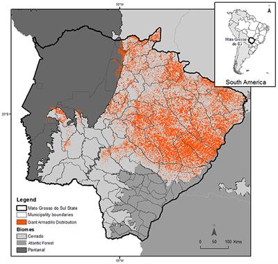 Using a Conflict Framework Analysis to Help Beekeepers and Giant Armadillos (Priodontes maximus) Coexist